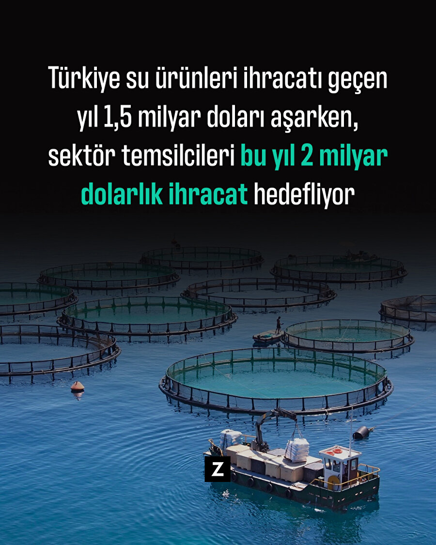 Türkiye'nin su ürünleri ihracatı 2022'de 1,5 milyar doları aştı