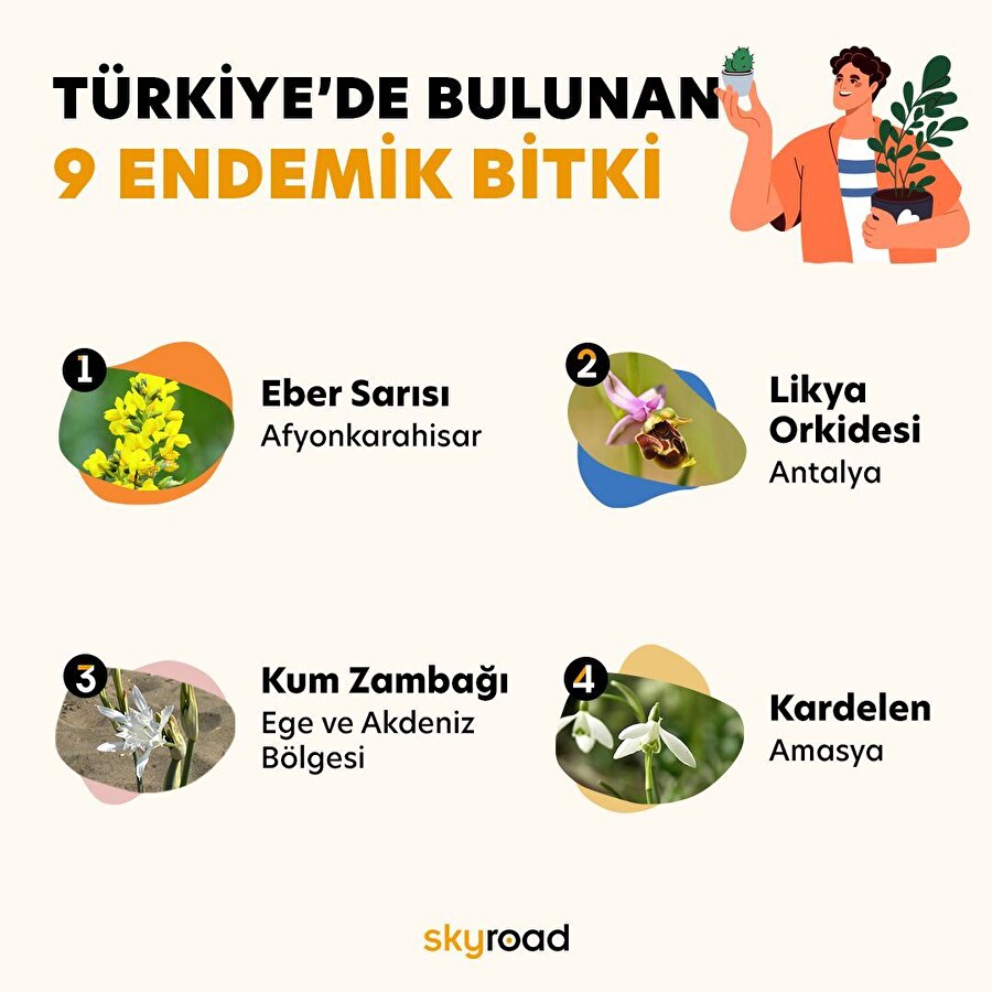 Türkiye’de bulunan 9 endemik bitki 🙌