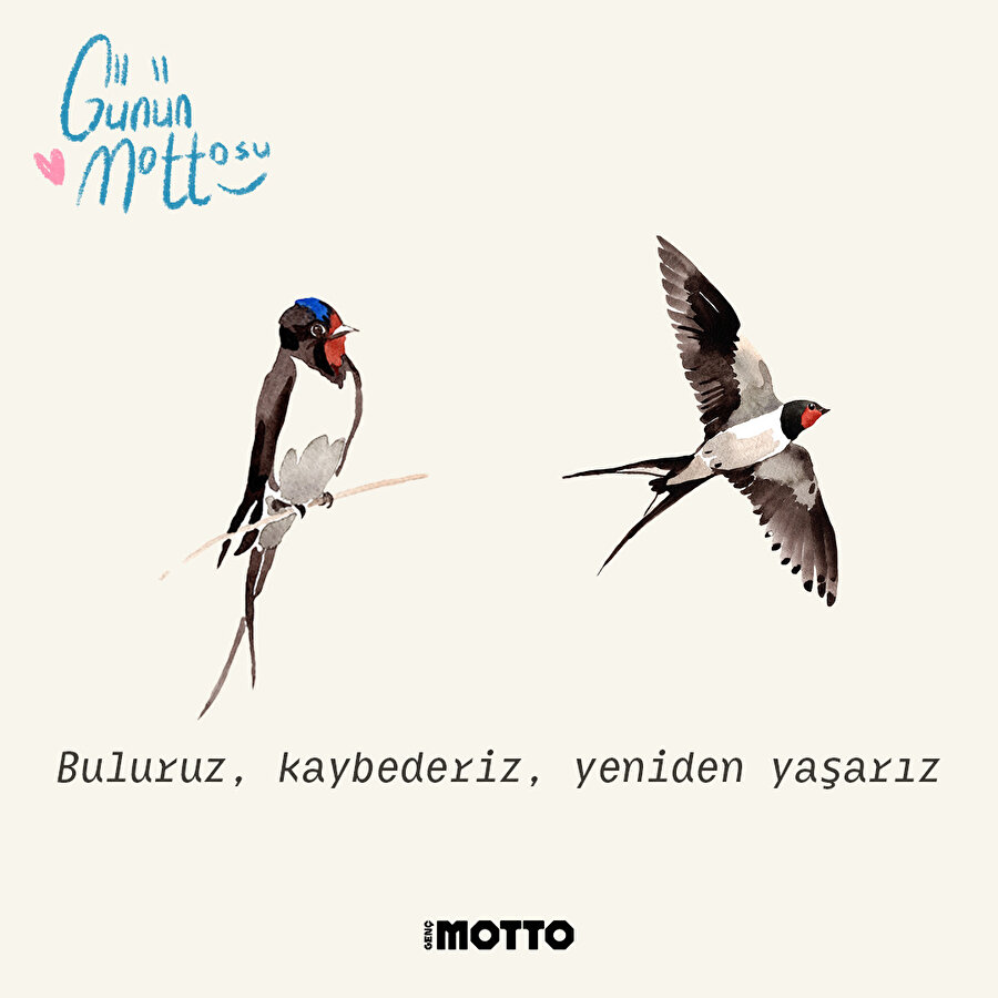 Günün mottosu