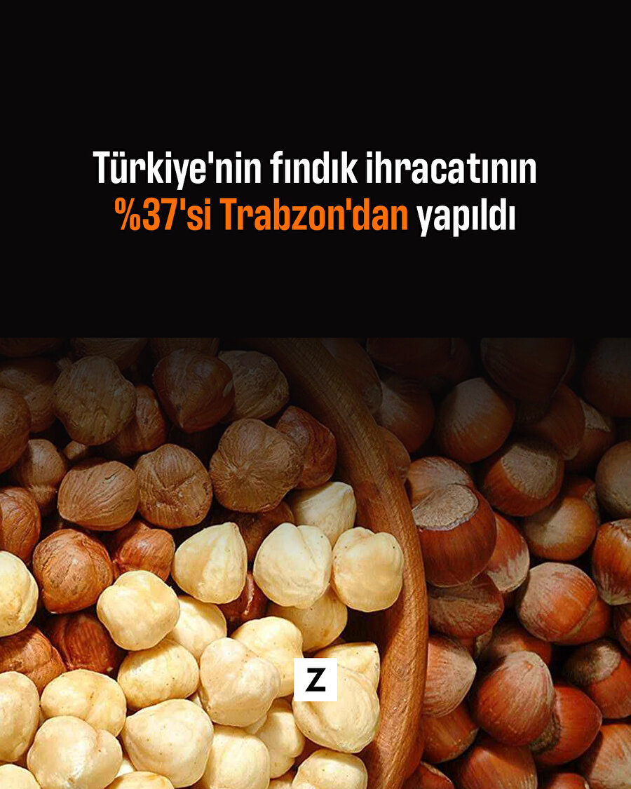 Trabzon'dan %37 fındık ihracatı