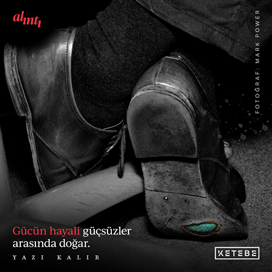 Bostanda Kırlangıçlar