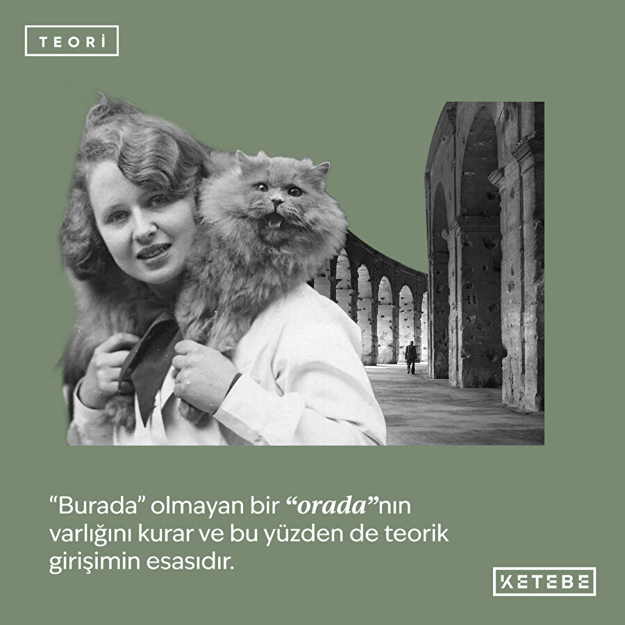 Halının üstündeki kedi