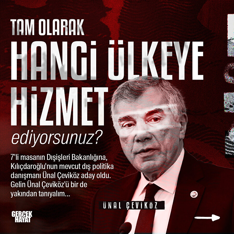 CHP'li Çeviköz'ün Türkiye karşıtı sözleri