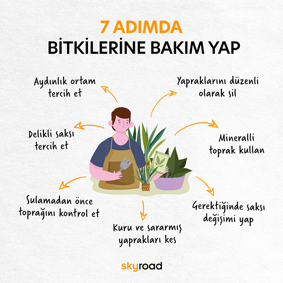 Bitkilerine en son ne zaman bakım yaptın? 🤓