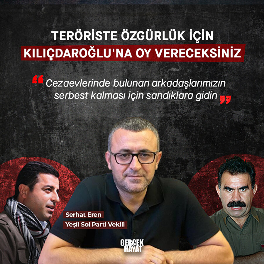 Yeşil Sol Partili vekilden skandal cümle