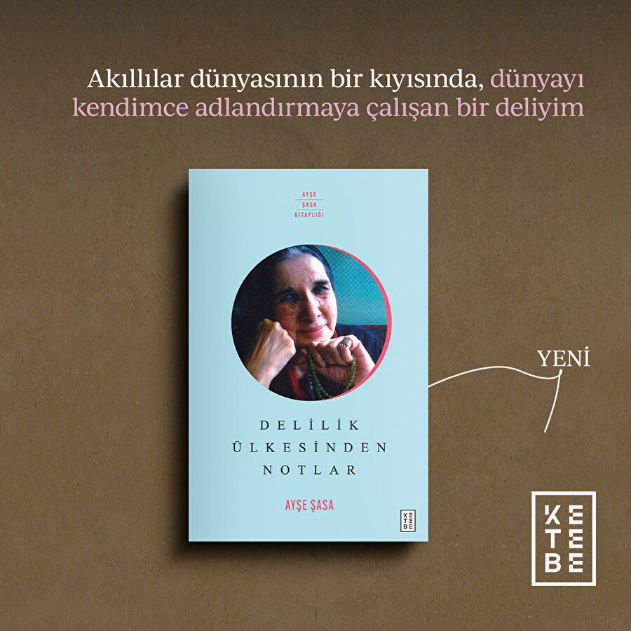 Delilik ülkesinden notlar