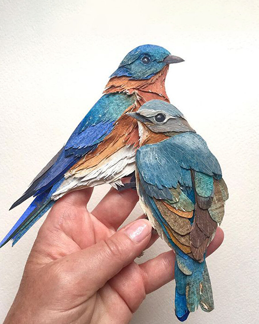 Doğanın canlı desenleri üzerine çizimler 🕊️
