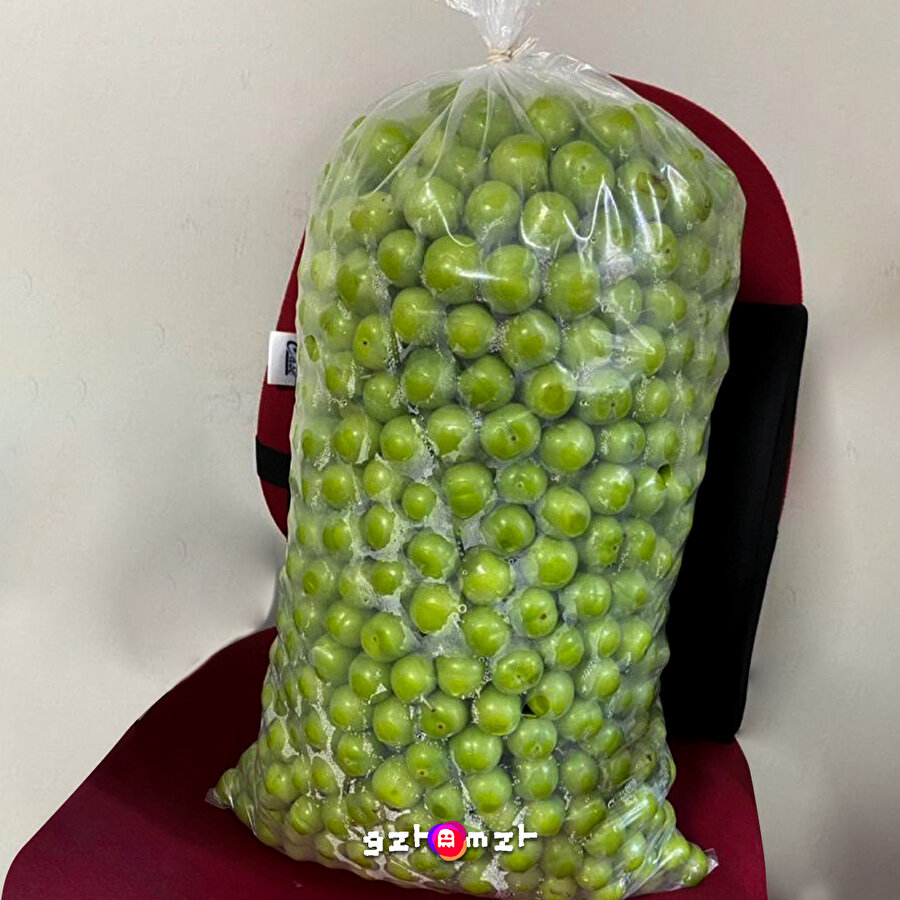 Tüm sorunlarımı çözebilecek tek şey