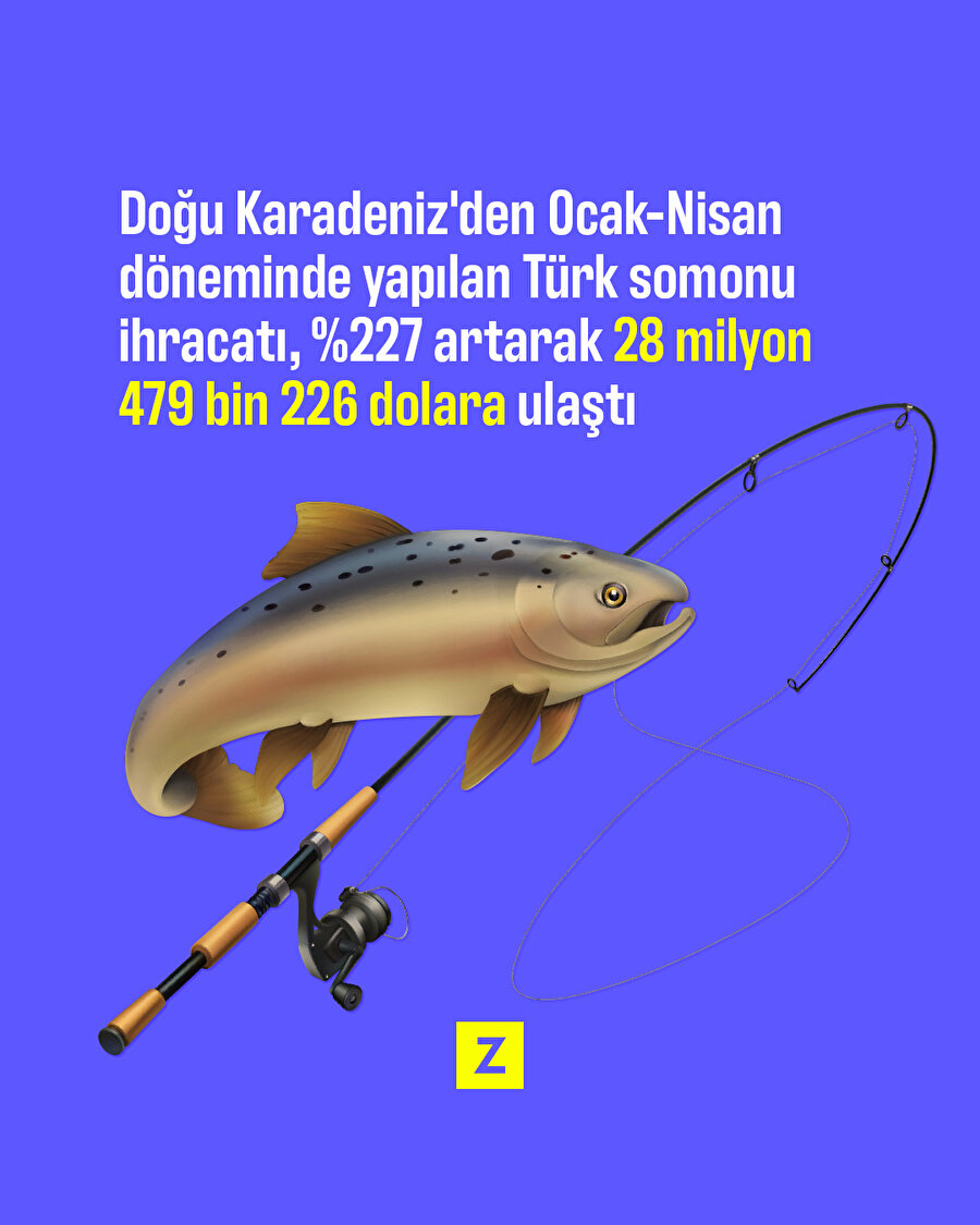 4 ayda 28,5 milyon dolarlık Türk somonu ihraç edildi