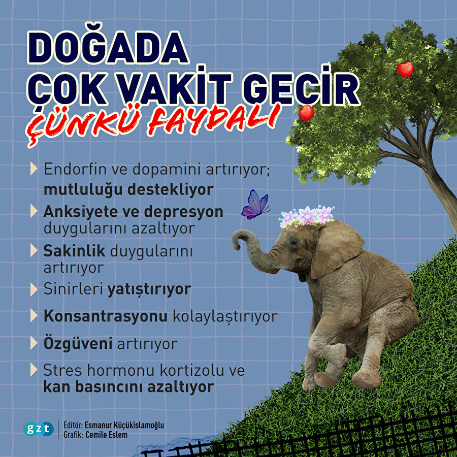 Doğada vakit geçirmenin faydaları 🌾