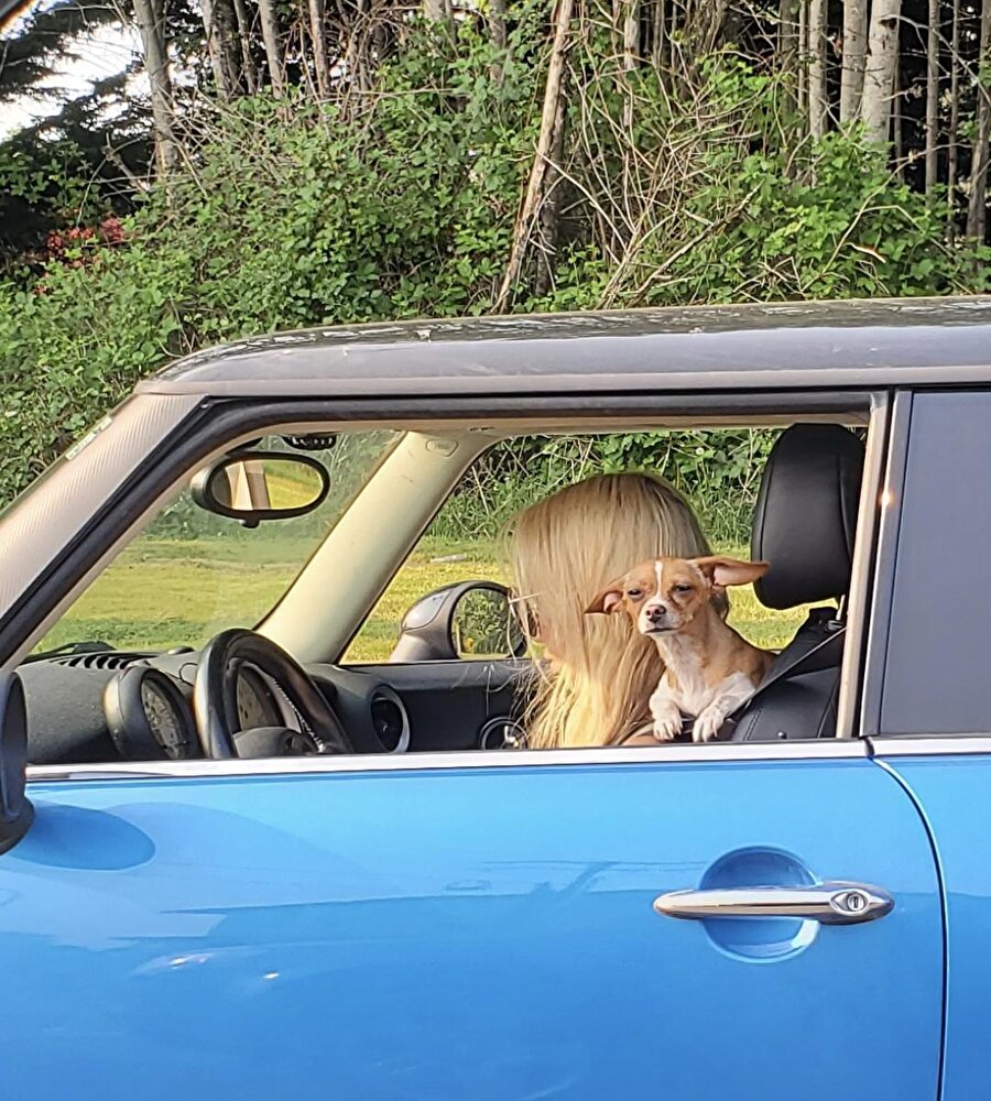 Bekleme yapma ticari