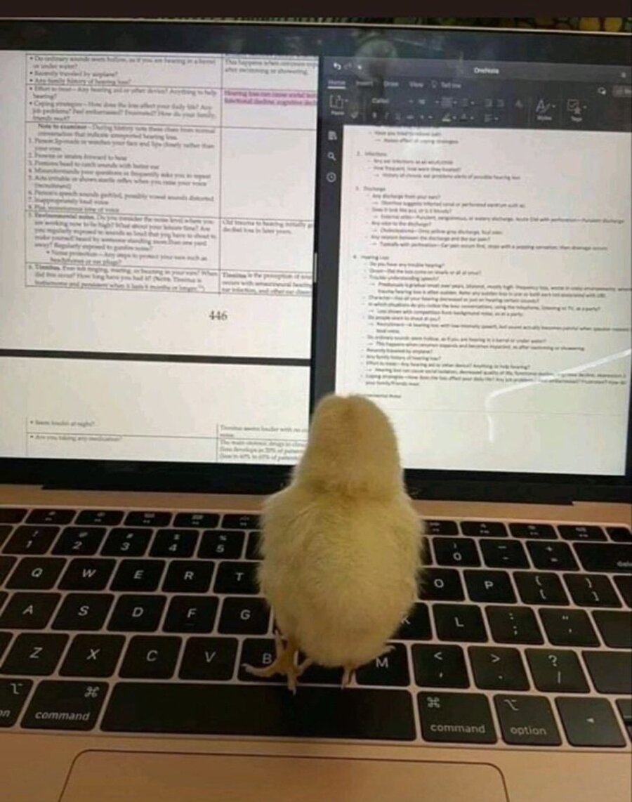 Annesine sağlık ocağında pansuman yapılmayınca civcivler