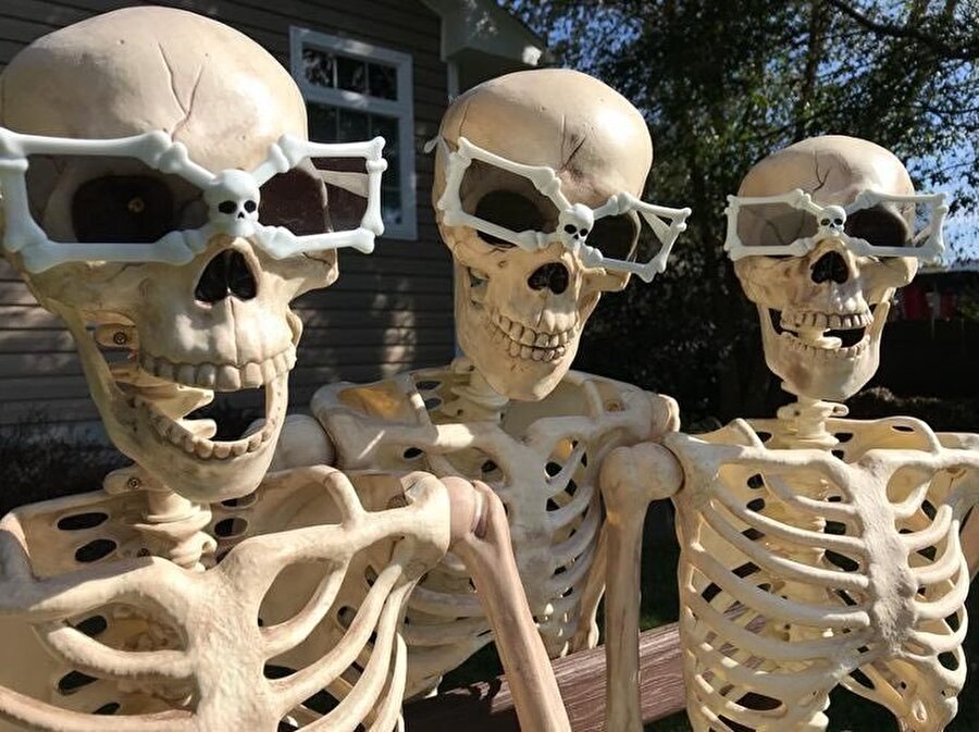 Ben ve her şakama gülen arkadaşlarım