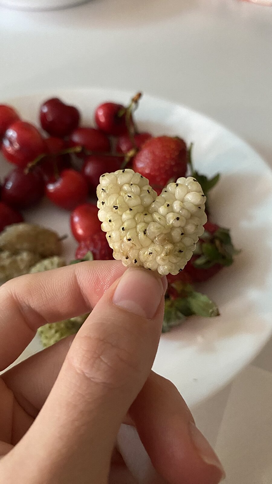 Love yani aşk dutulması