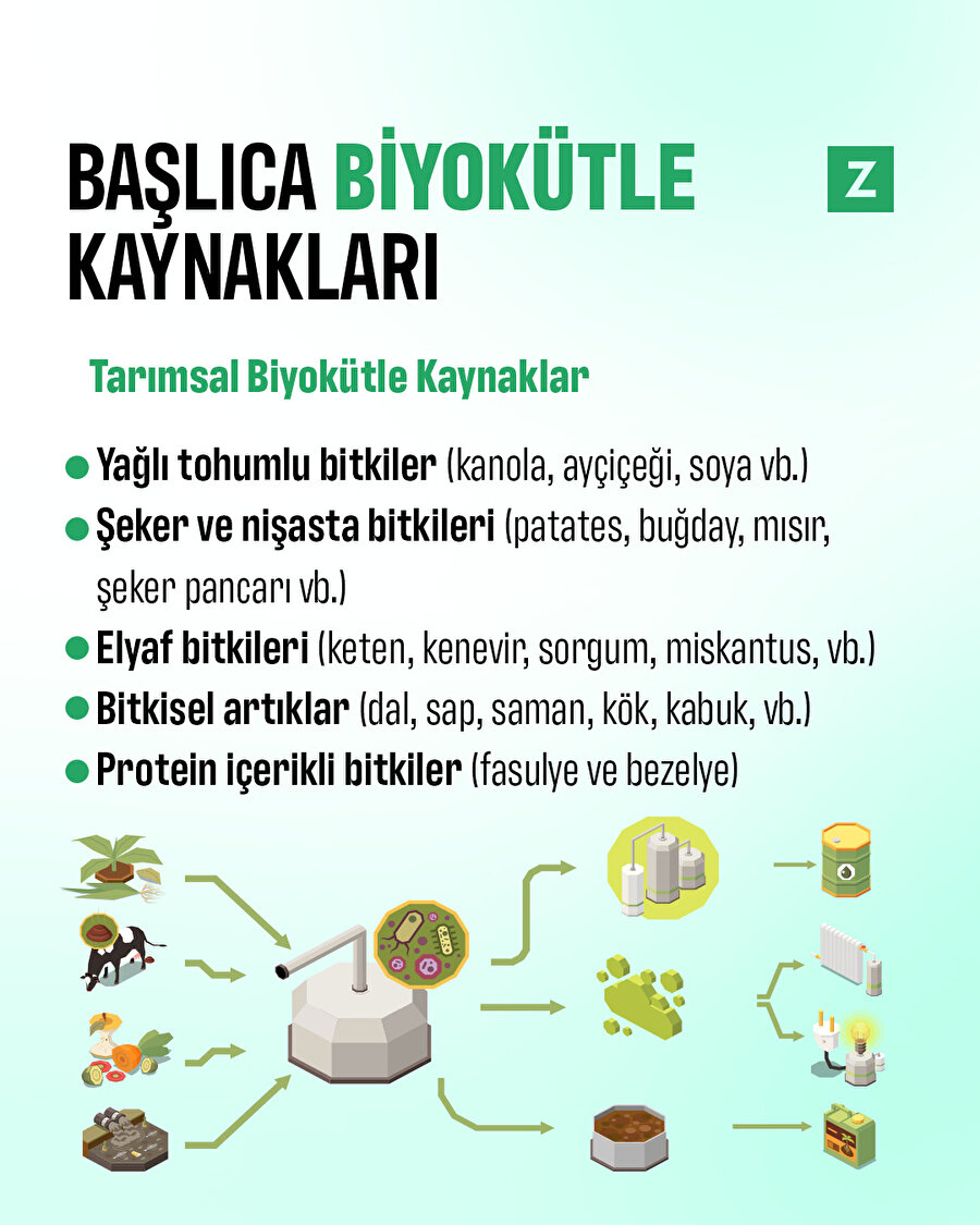 Başlıca biyokütle kaynakları