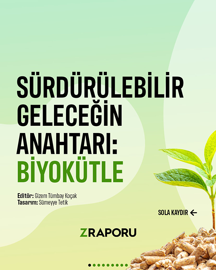 Sürdürülebilir geleceğin anahtarı: Biyokütle