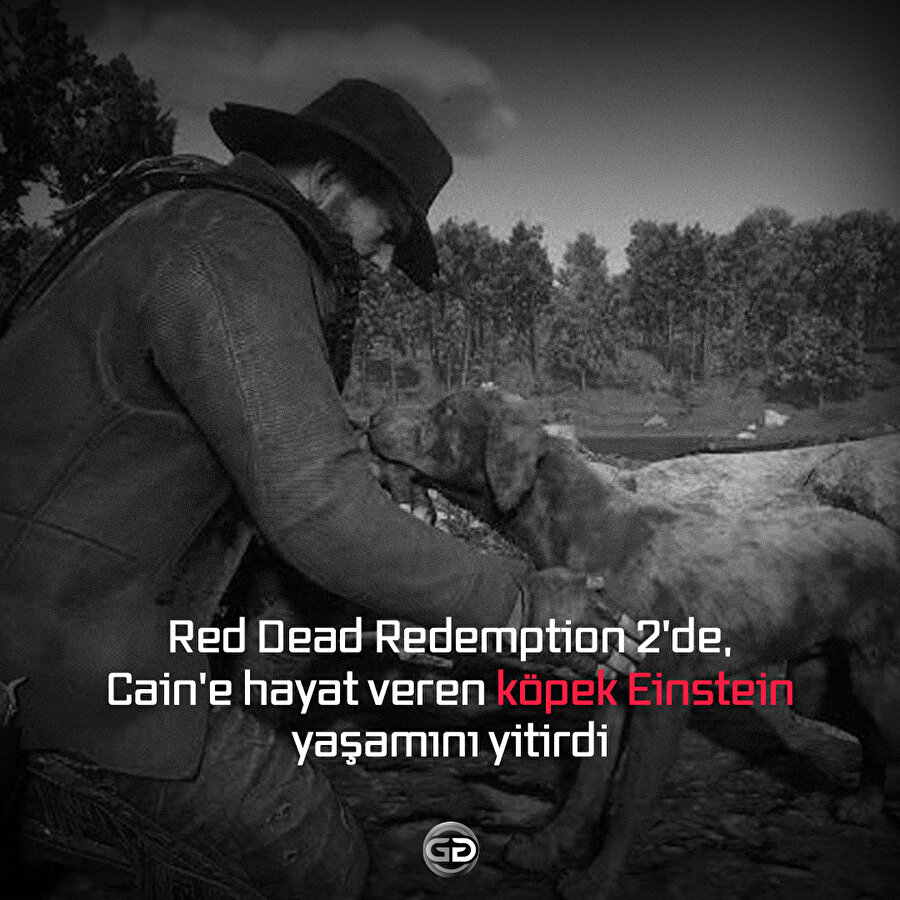 Red Dead Redemption 2'de, Cain'e hayat veren köpek Einstein yaşamını yitirdi