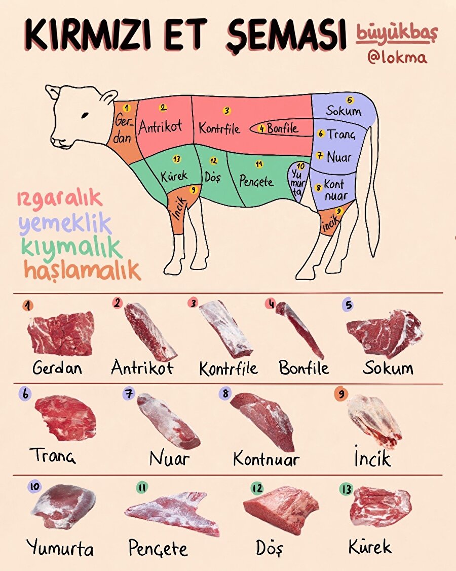 Kırmızı et şeması