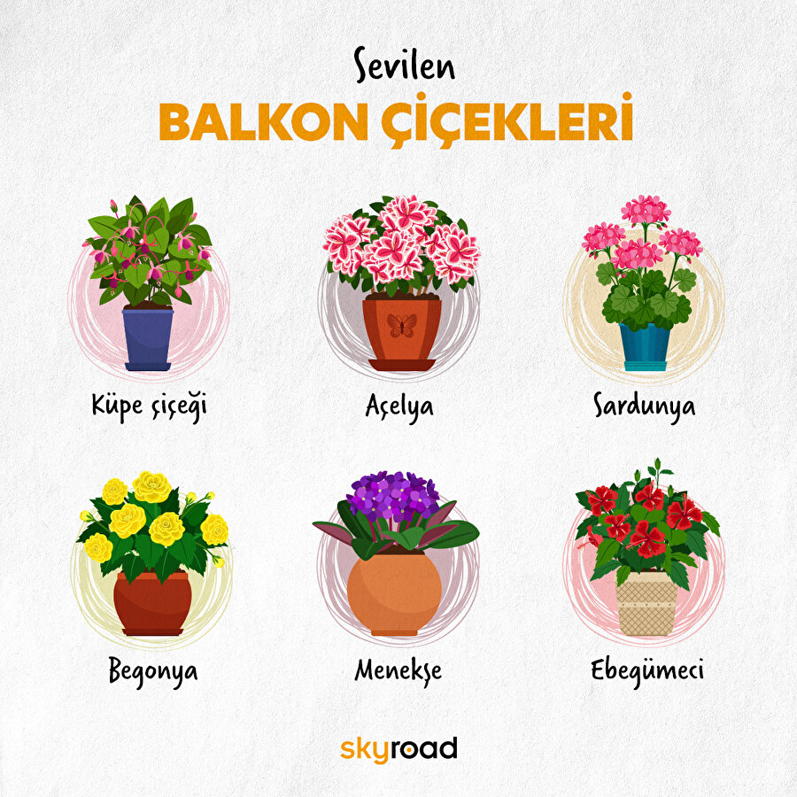 Senin en sevdiğin balkon çiçeğin hangisi? 🧡