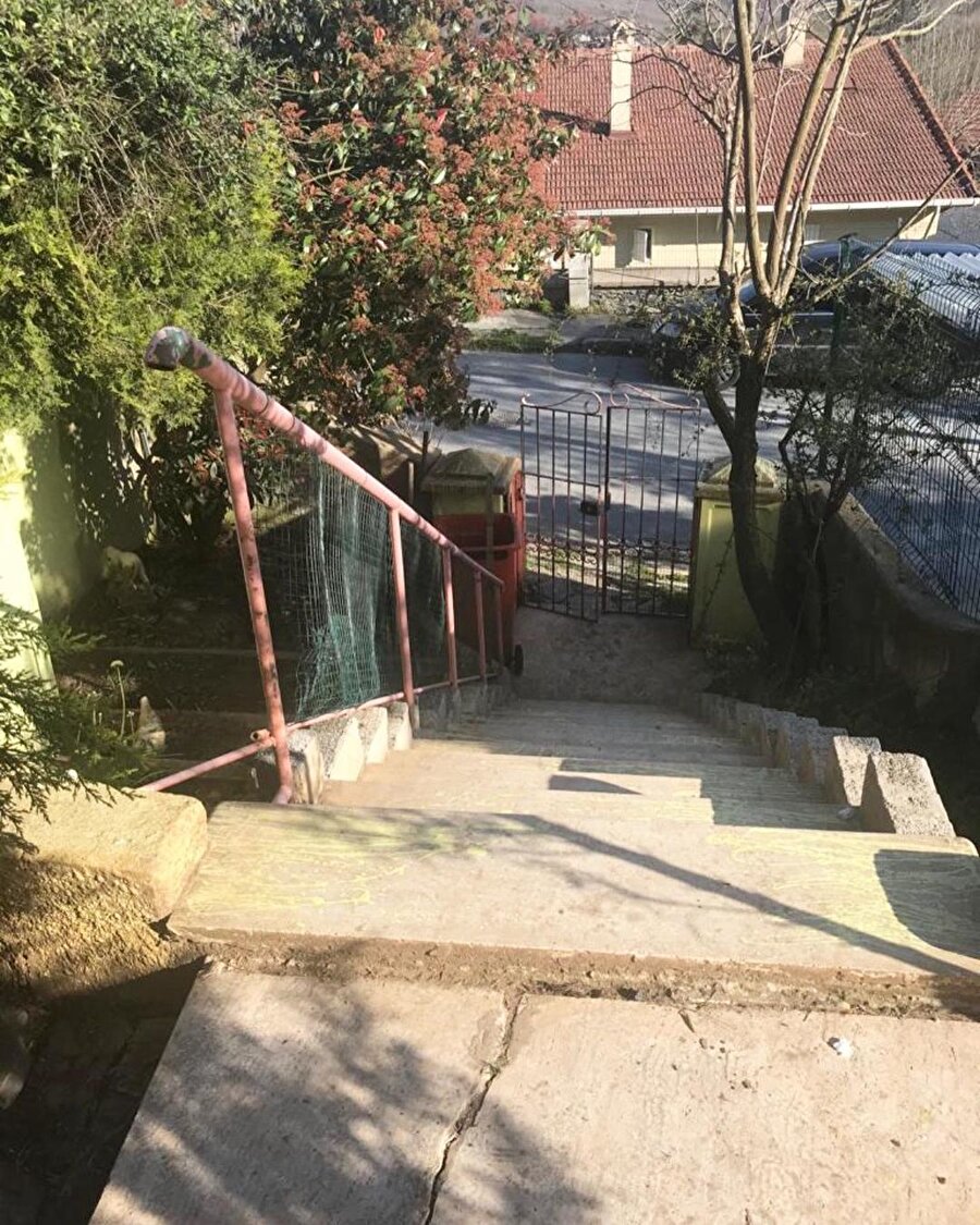 Topoğrafyaya yerleşen dikkat çeken tasarım! 