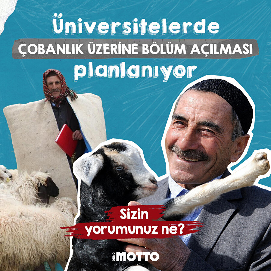 Üniversitelerde çobanlık üzerine bölüm açılması planlanıyor