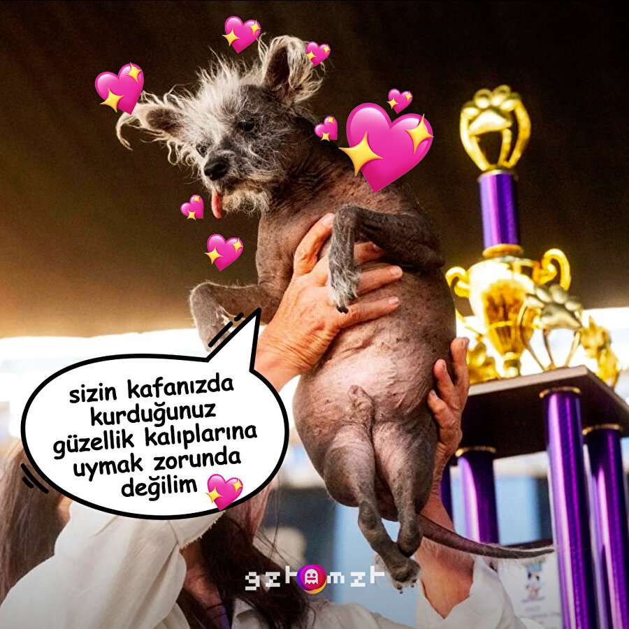 "Dünyanın En Çirkin Köpeği" yarışmasının galibinin size mesajı var