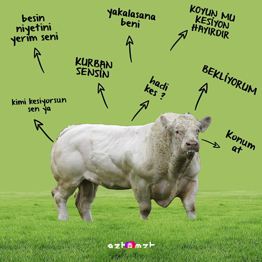 Kim kimi kesiyor gel bakalım 🔪