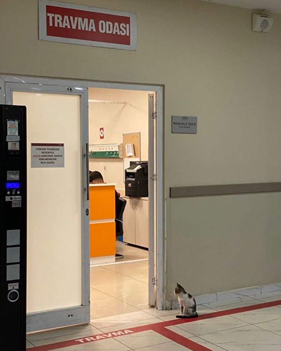 Her gece kendimi bulduğum yer