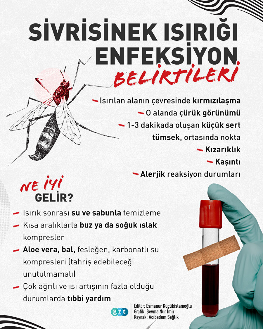 Sivrisinek ısırığına ne iyi gelir? 🦟