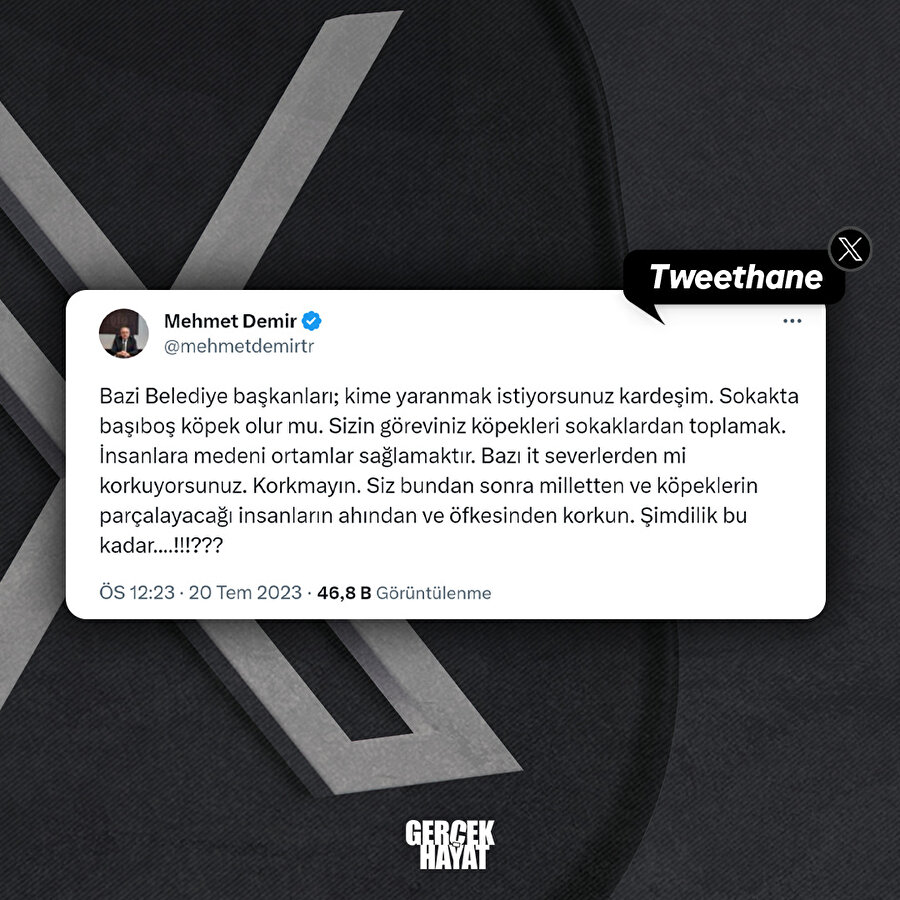 Başıboş köpek sorunu