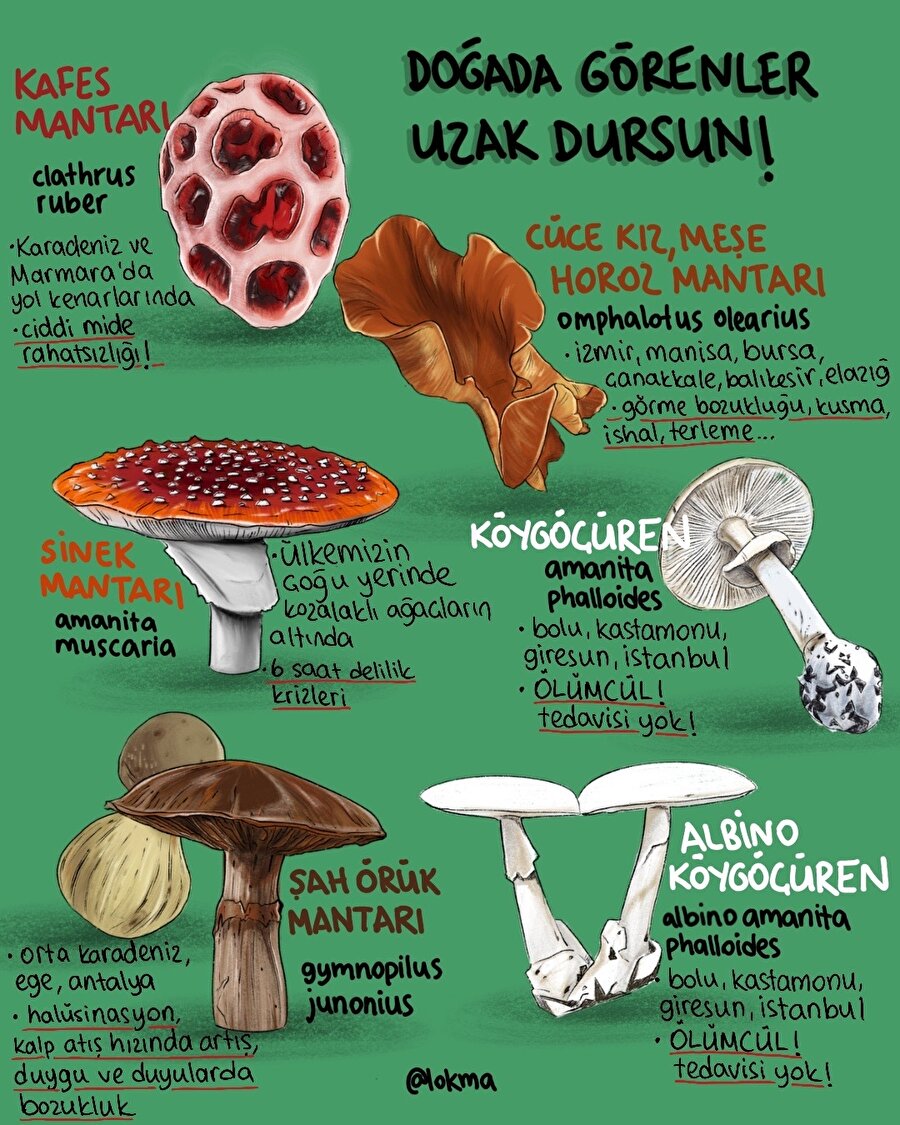 Doğada görenler uzak dursun!