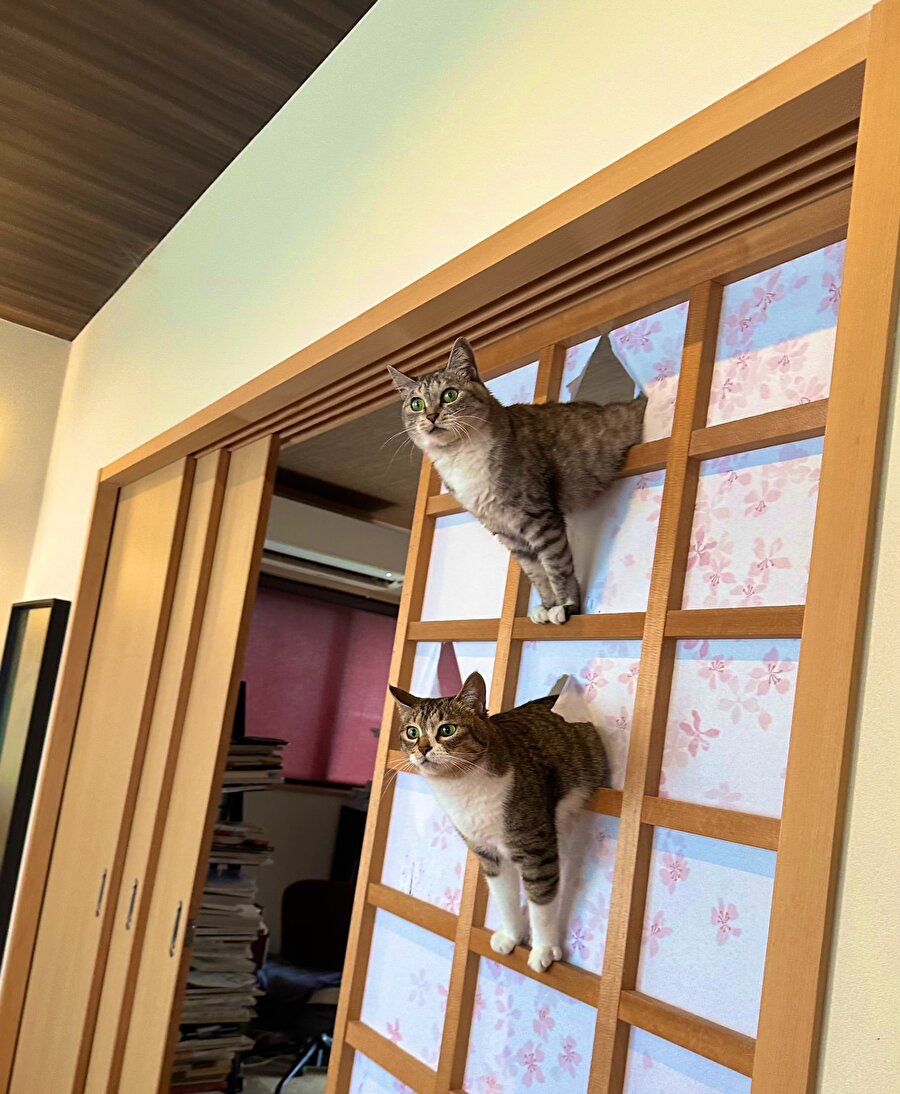 Sokaktan gelen en ufak seste kankamla ben