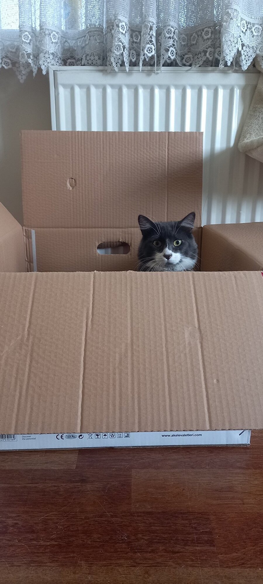 Sonunda ayrı eve çıkmış