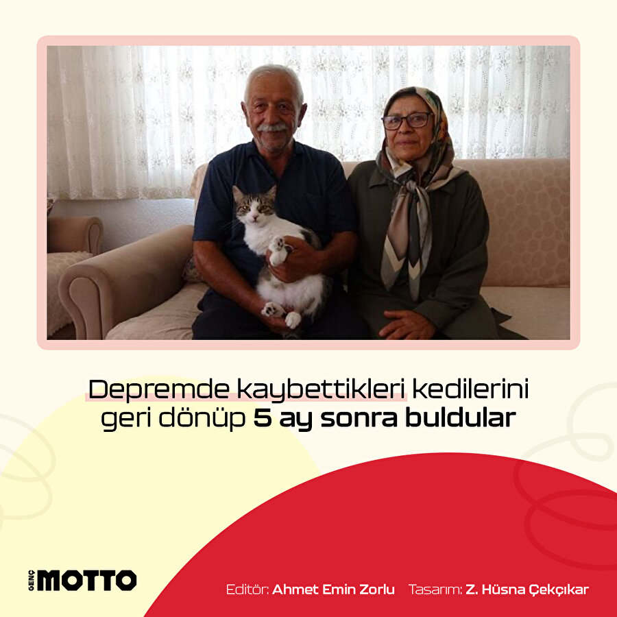 Depremde kaybettikleri kedilerini 5 ay sonra buldular
