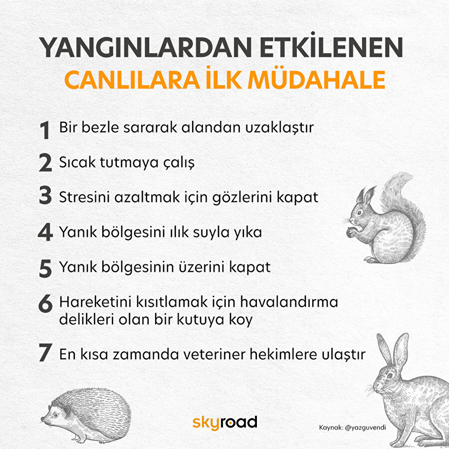 Yangından etkilenen canlılara nasıl müdahale etmeliyiz?