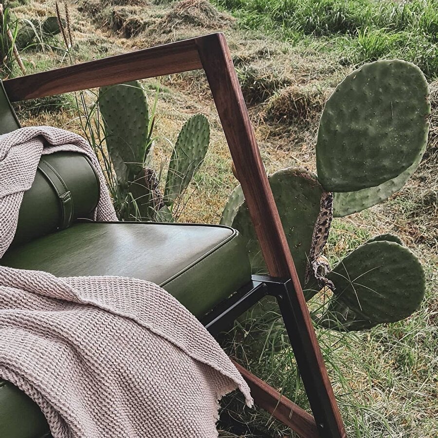 Deriye vegan bir alternatif geliştirildi!