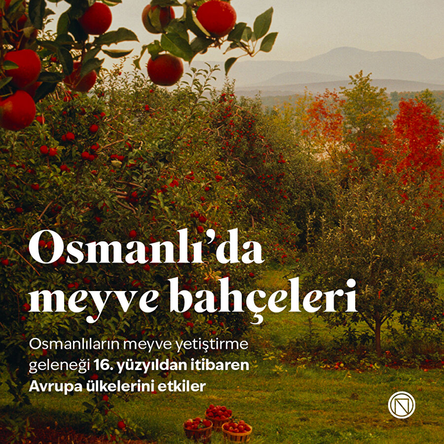 Osmanlı'da meyve bahçeleri