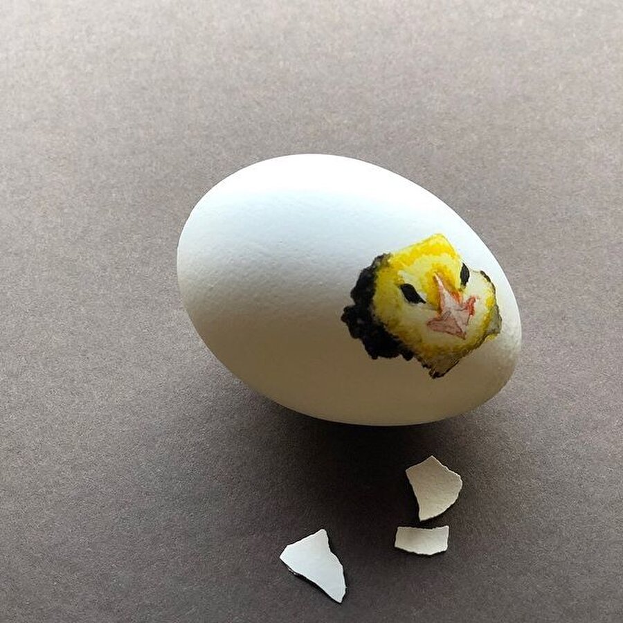 Yumurta kabuklarıyla sanat 🐣