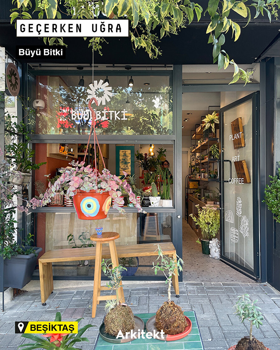  Geçerken Uğra: Büyü Bitki