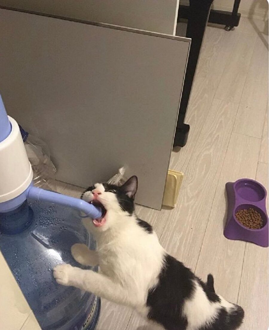 Acı yedikten sonra bardaktan yansıyan görüntüm