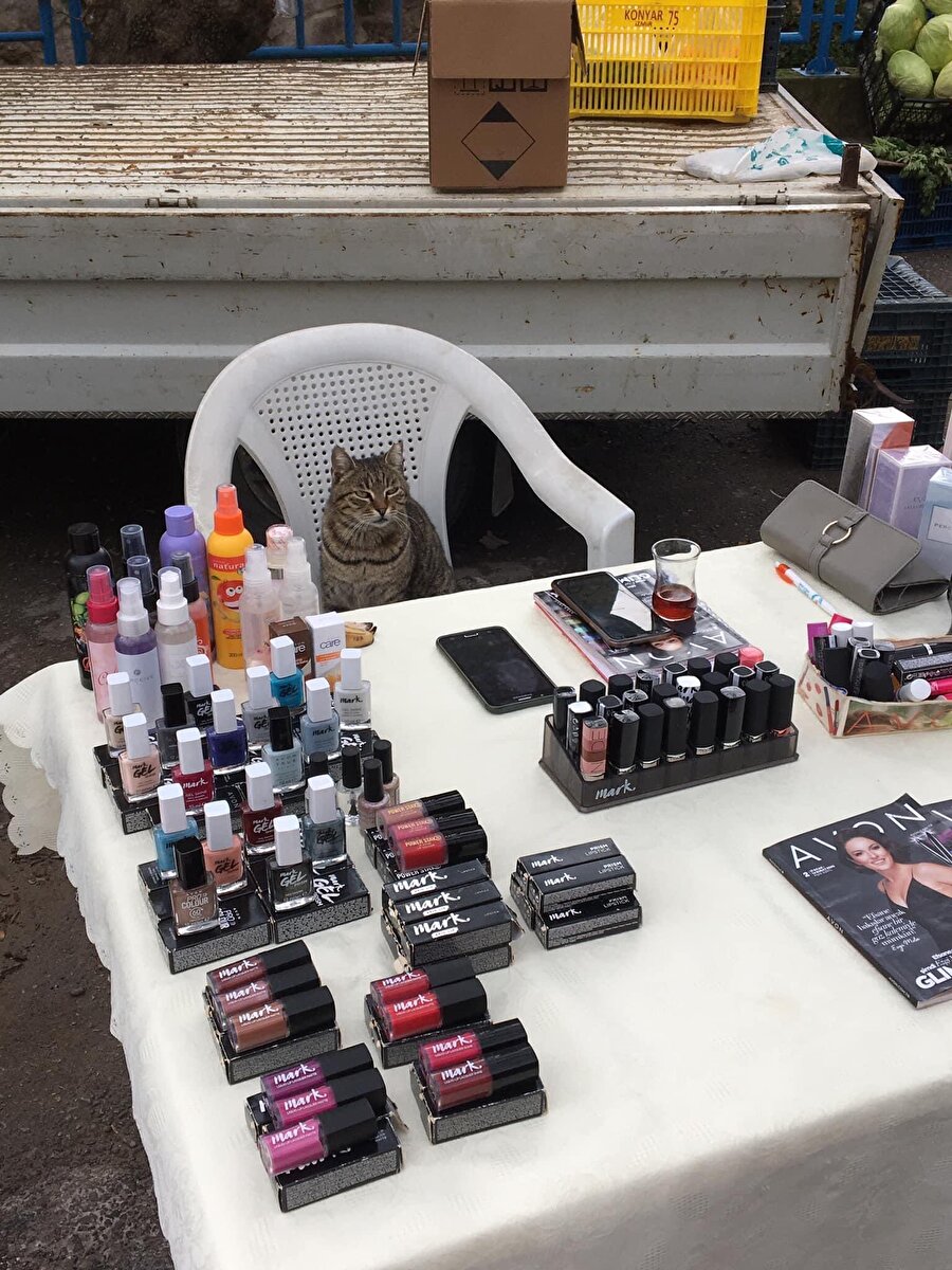 Meybelin var Nim York var neye bakıyon?