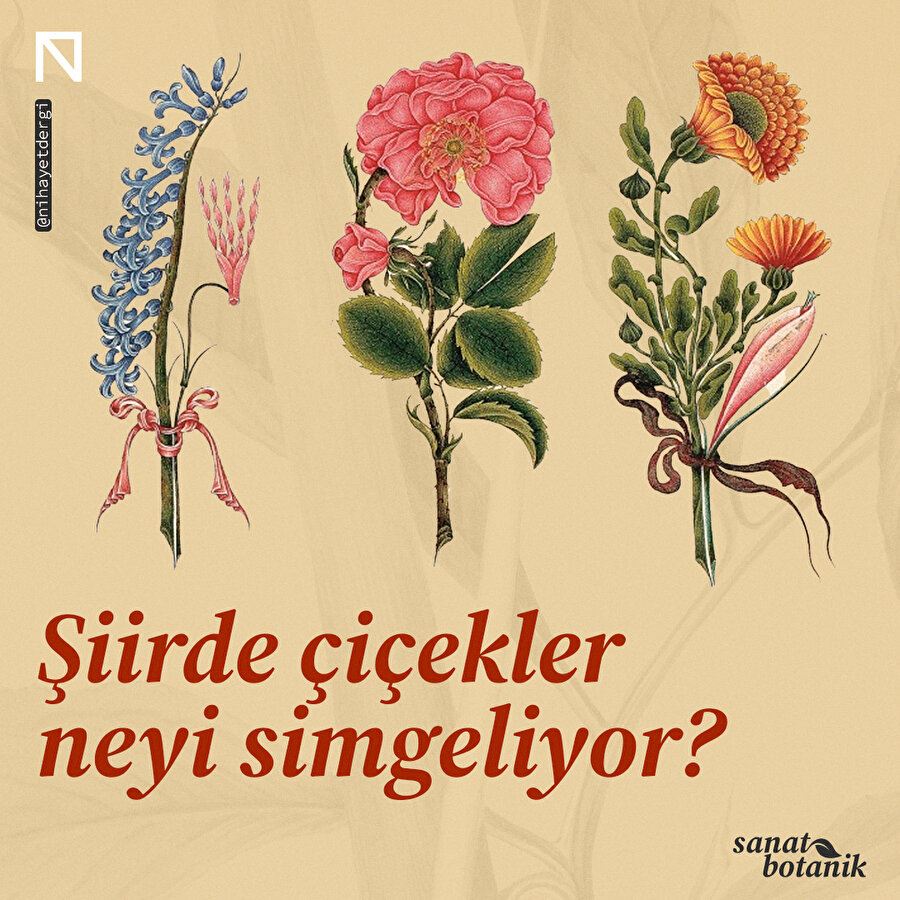 Divan şiirinde çiçeklerin dili