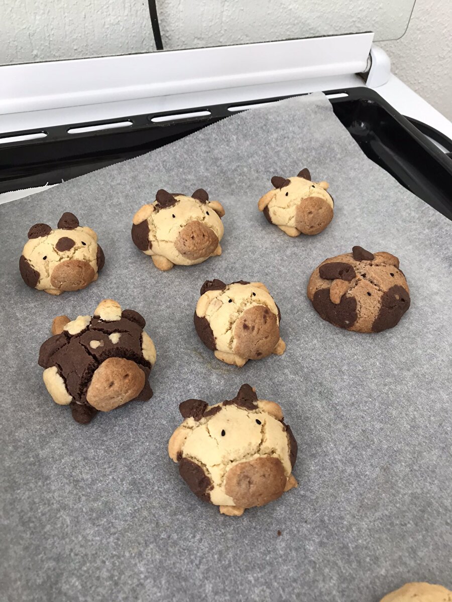 Herkes işini gücünü bırakıp kurabiyeye baksın