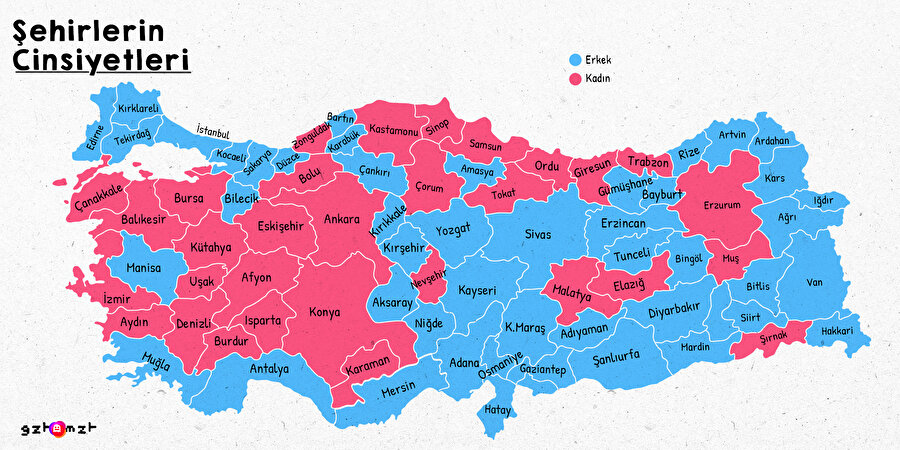 Şehirlerin cinsiyetleri nedir?