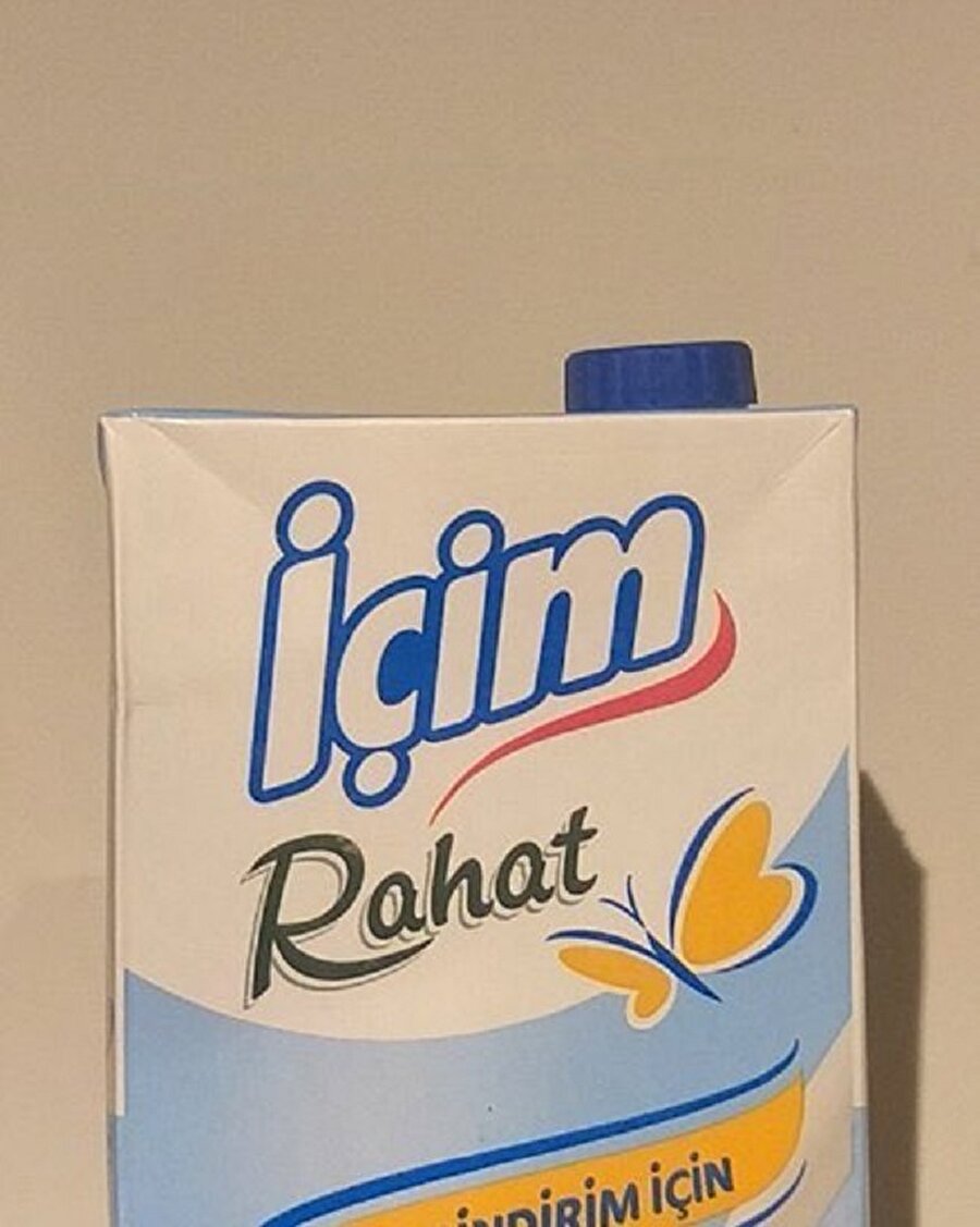 Ben elimden geleni yaptım