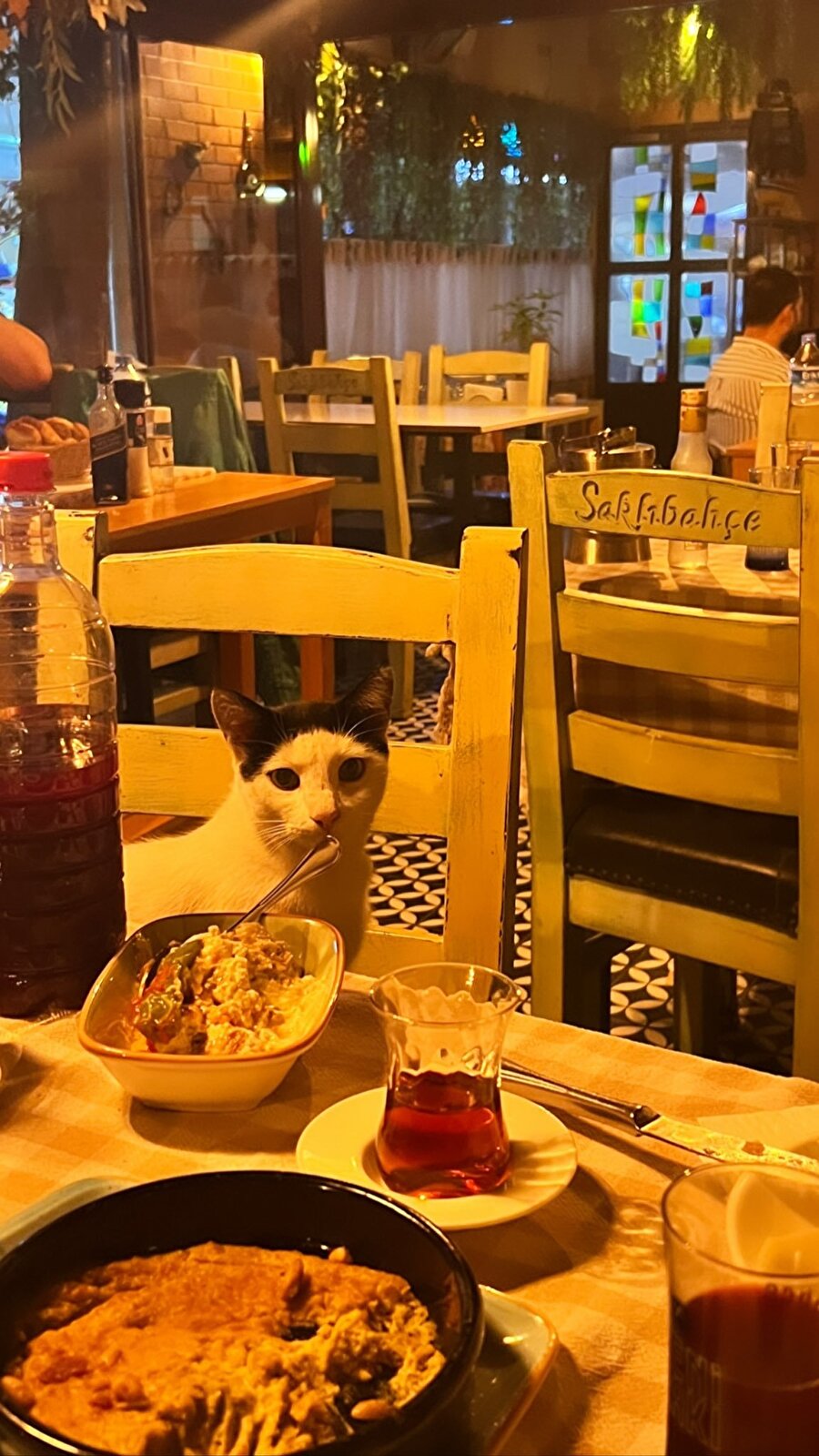 Kuaförün kim söyle de yanlışlıkla gitmeyelim