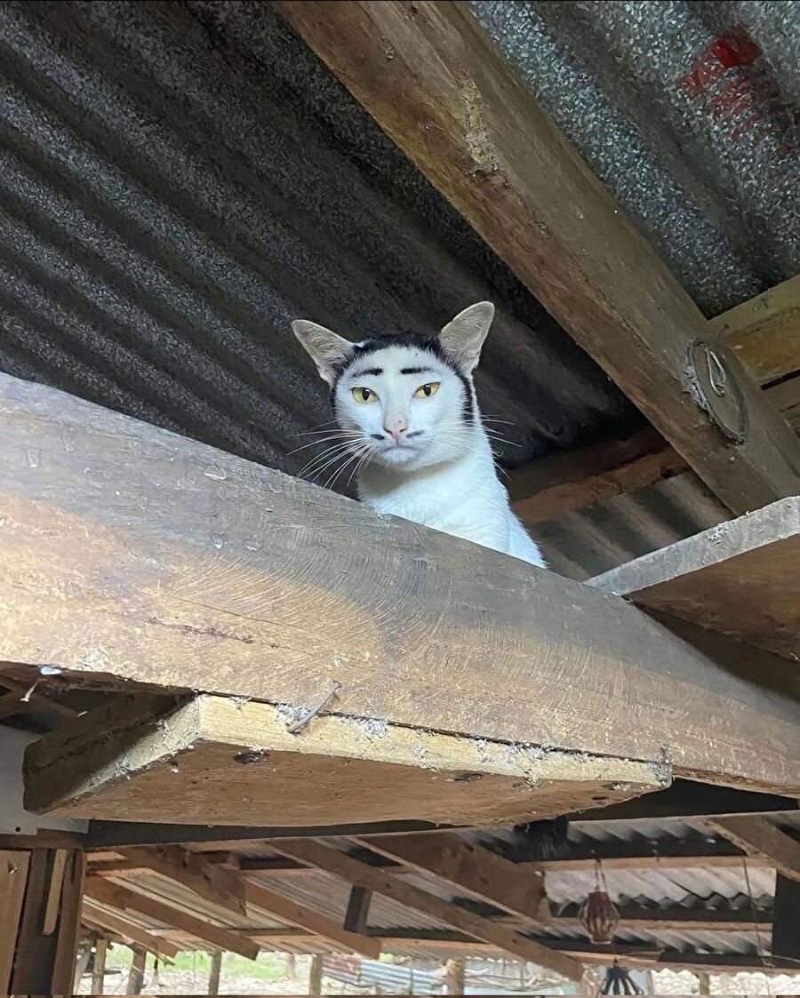 Kuaförün bana bırakıyor musun dediği kesim