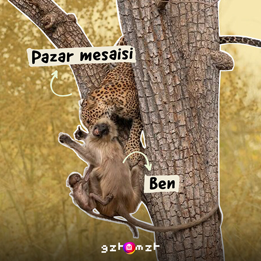 Gün bu şekil darlıyor