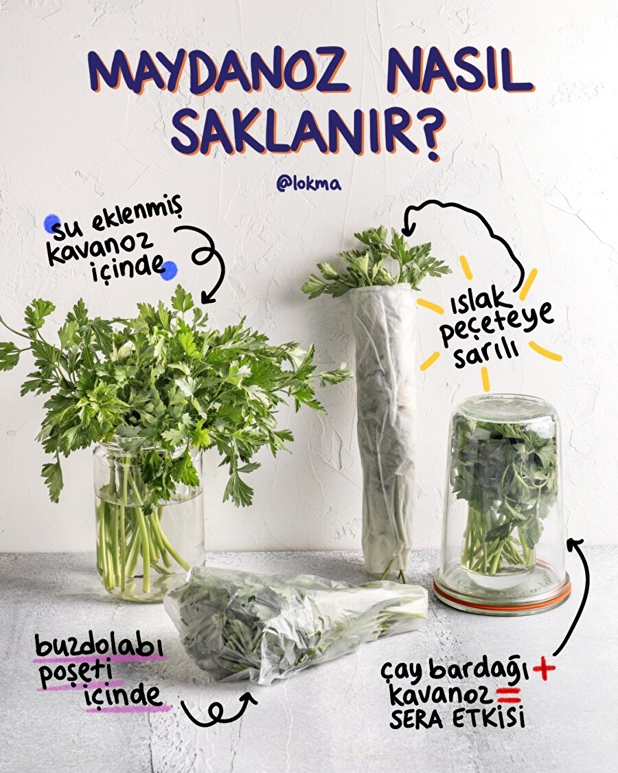 Maydanoz nasıl saklanır?