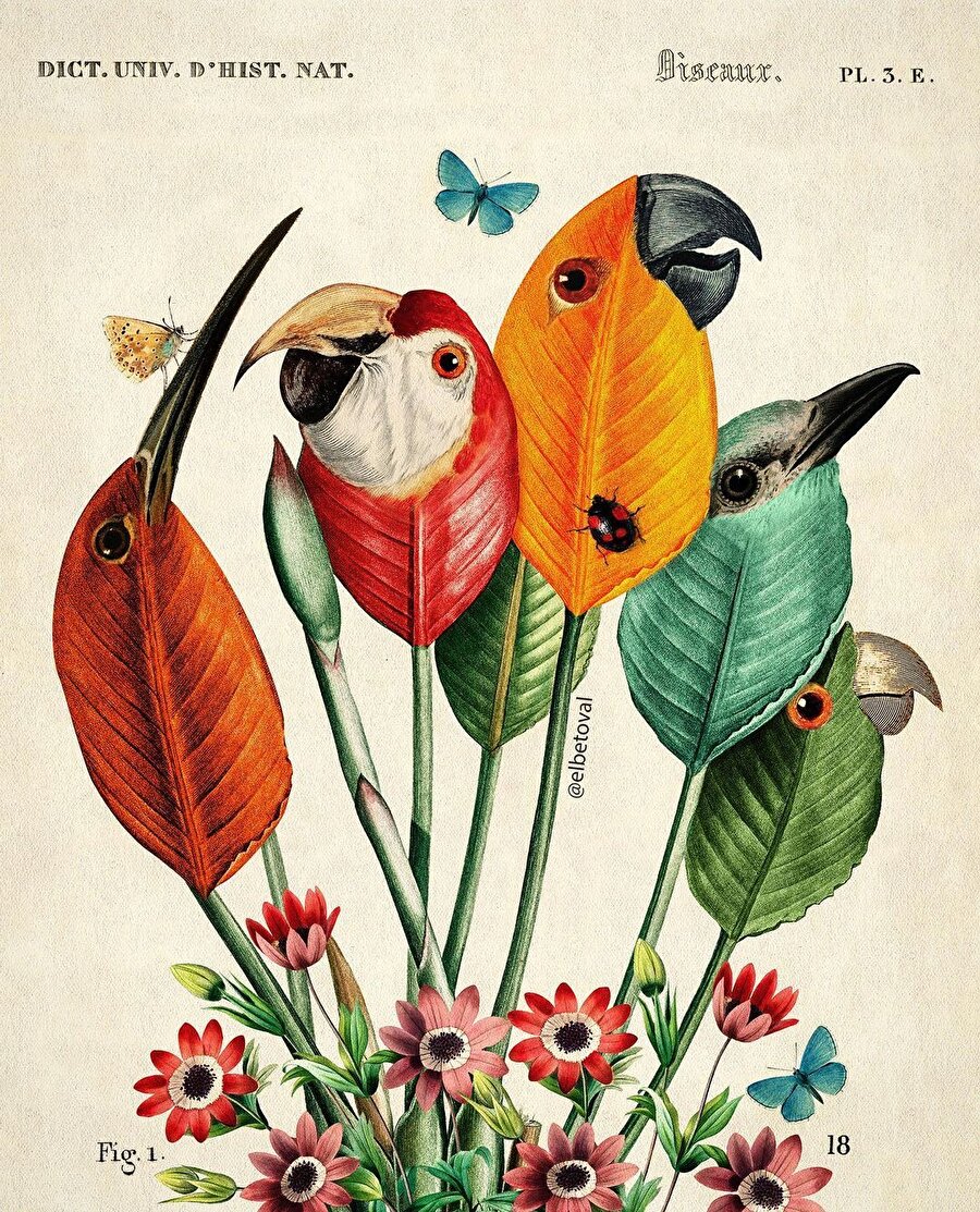 Beto Valencia’nın gerçeküstü dijital kolajları 🤩